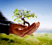 Confecções de Declaratória de Posses e Registros.